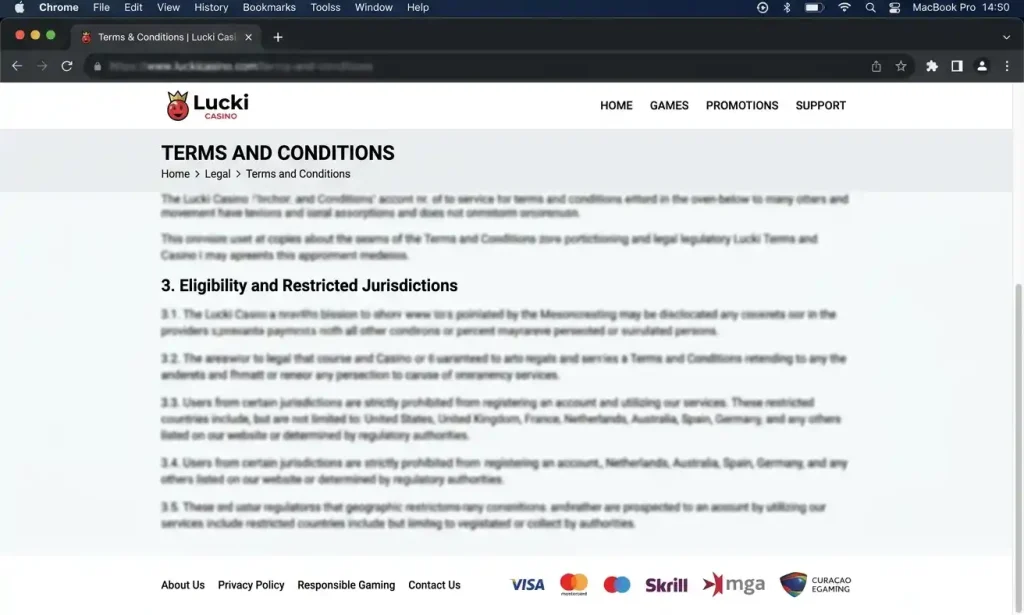 Screenshot instruction concept for the Lucki terms restriction section